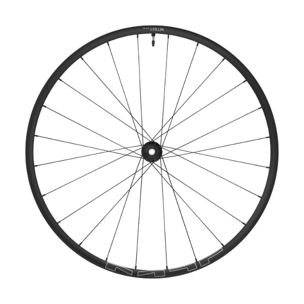 roue avant À axe traversant 29 100x15 mm
